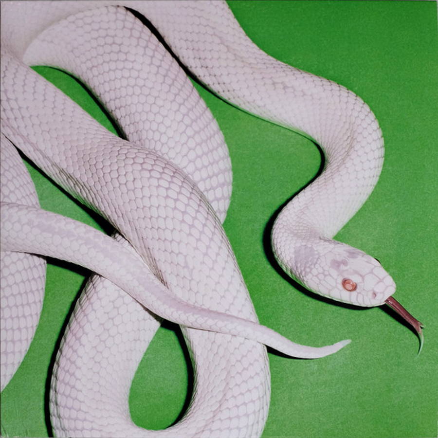 Deftones – Private Music